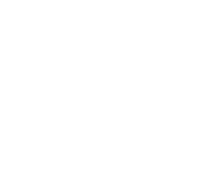 75周年